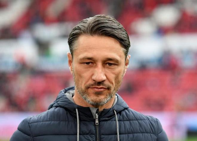 关键时刻摩纳哥备战德国杯；主帅复盘细节曝光；信心回归；训练强度明显提升(德国足球队世界杯预选赛最新消息)